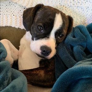 Meet your Posher, Tyler